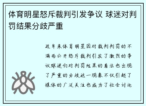 体育明星怒斥裁判引发争议 球迷对判罚结果分歧严重