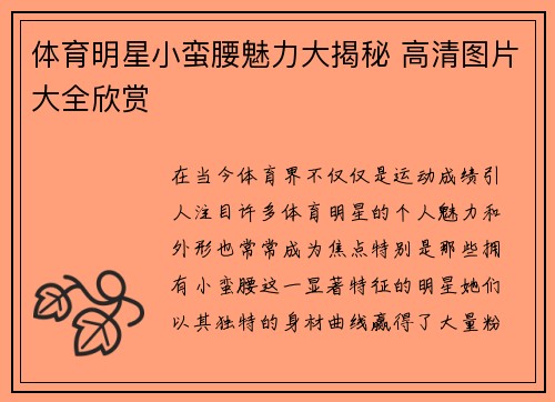 体育明星小蛮腰魅力大揭秘 高清图片大全欣赏